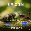 "명품용성방" 모임을 알립니다 이미지