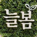 늘봄피부과의원 이미지