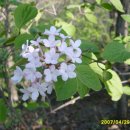 4/28-29 경각산(슬치-염암마을)구간종주-호남정맥2차 이미지