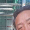 재룡농장 Daum카페