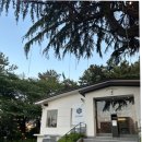 고기랑 낙지랑 | 부산 광안리 점심 맛집 낙지보쌈 내돈내산 솔직 후기