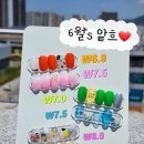 이니더네일