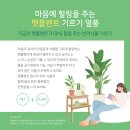 위너스펫