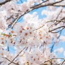 석촌호수로 이미지