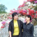 얼레리꼴레리