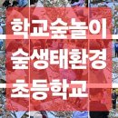 행복한숲생태교육연구소