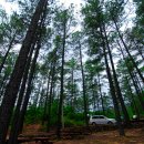 백운산자연휴양림 이미지