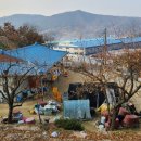 어래산농장 Daum카페