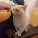 속리산아트힐링센터 | [콩나무아트힐링센터] 제13회 컬러하트 콘서트💝