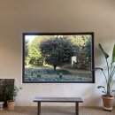 포레스트선흘 이미지