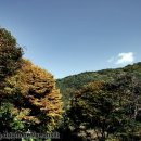 정방사 - 1586 | 정방사