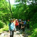 오장전자 이미지