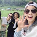 삼시세끼 이미지