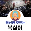 진정식복싱클럽 이미지