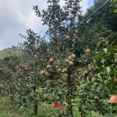 자연과예술유치원 이미지