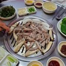왓다숯불꼼장어