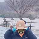 키즈포레스트 이미지