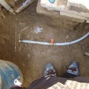 대명1동 주민센터 이미지