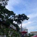 행복직물 Daum카페