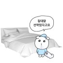 오드투펫 | <1월 일상로그> 2025 집순이의 일상...