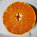 민우네농장 이미지