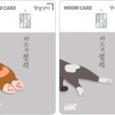 현대동물병원 애견용품 이미지