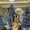 부산트래블라운지1층 | 부산 롯데호텔 클럽 디럭스 더블룸 후기｜클럽라운지 조식·애프터눈티·해피아워·겨울 야외수영장...