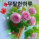 세상사는이야기 이미지