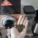 포레스트G1 이미지