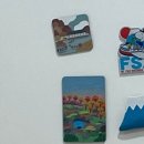 가을 숲으로 가자 | 가을이다. 화담숲 가자!🍁🍂🌰