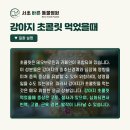 사당동물병원 네이버블로그