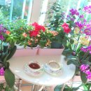 도토리 정원 이미지