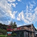 한마음정육식당 방동점 | 자연 속 캠핑 감성 고기맛집, 대전바베큐맛집 한마음정육식당 방동점 방문기