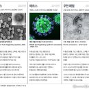 중국 '우한폐렴'은 공기로 전염되는 에이즈! 우한 바이러스 연구소 이미지
