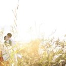 보다디자인스튜디오
