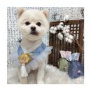 멍앤리치 이미지