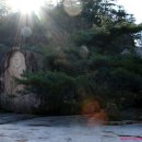 수수께끼 이미지