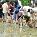 마들근린공원 이미지