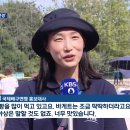 파리올림픽 오프닝 세레머니의 주인공이 된 식빵언니 김연경 이미지