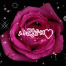 토요일 이미지