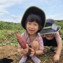 동부어린이집 이미지