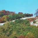 세도농협 하나로마트 이미지