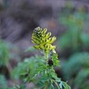 바우길 6구간 이미지