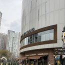 (주)콘 | 성심당 DCC점 콘바게트 초코바게트 나오는 시간 평일 방문 후기