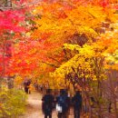 CU(양주오봉산점) 이미지