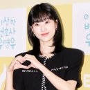 봄날에햇살 이미지