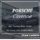 팀카스킨 이미지