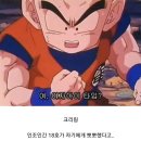 드래곤볼 셀전 최악의 트롤러는? 이미지