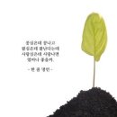 02월22일(금) 신문을 통해 알게된 이야기들 이미지