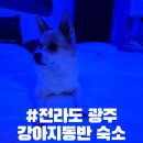 야! 놀자 PC 이미지